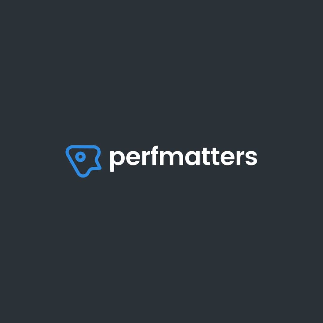 Perfmatters - Web Performance Plugin | 1 Year Original Active License